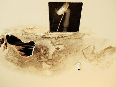 Professional mold remediation services in Portland